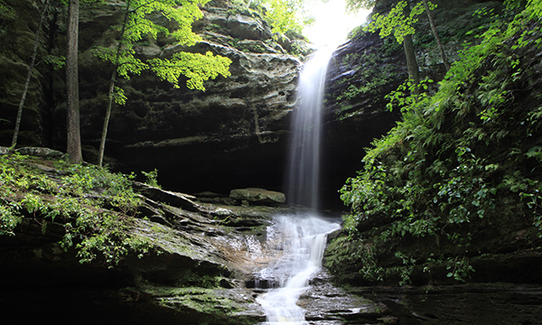 Shawnee National Forest Ferne Clyffe