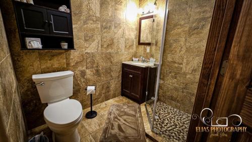 Deluxe Duplex Cabin - Bathroom